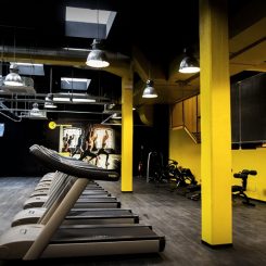 Palestra Fitexpress Firenze (Foto di Michela Notarnicola)