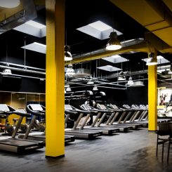 Palestra Fitexpress Firenze (Foto di Michela Notarnicola)