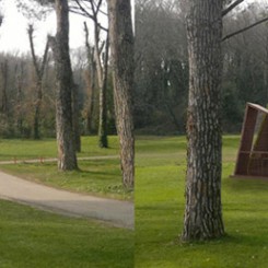 Buvette per un golf club (Olgiata), rendering