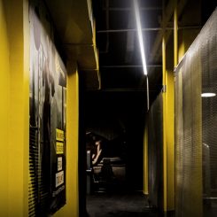 Palestra Fitexpress Firenze (Foto di Michela Notarnicola)
