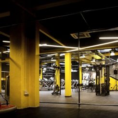 Palestra Fitexpress Firenze (Foto di Michela Notarnicola)