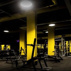 Palestra Fitexpress Firenze (Foto di Michela Notarnicola)