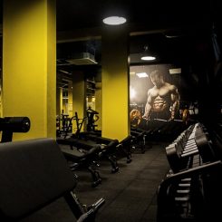 Palestra Fitexpress Firenze (Foto di Michela Notarnicola)