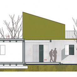 Progetto per residenze sociali (Vigonza), sezione